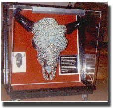 Buffalo Skull - Turqoise
