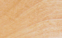 Birch Wood Grain