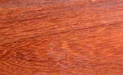 Padauk Wood